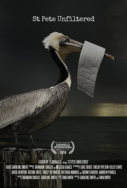 Poster for St. Pete Unfiltered