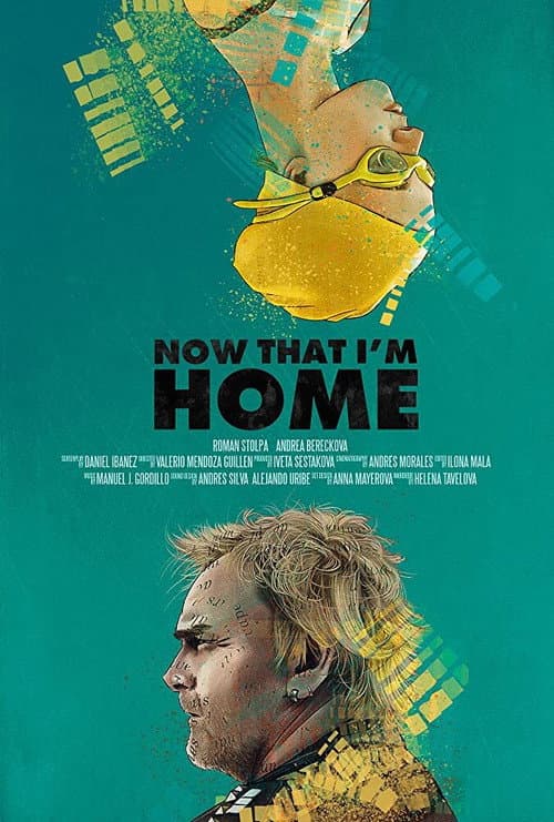 Poster for Now That I'm Home