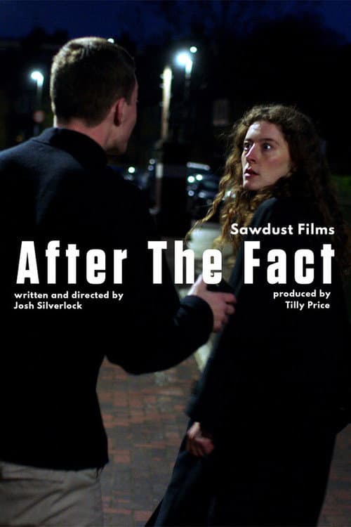 Poster for After the Fact