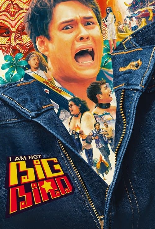 Poster for I Am Not Big Bird