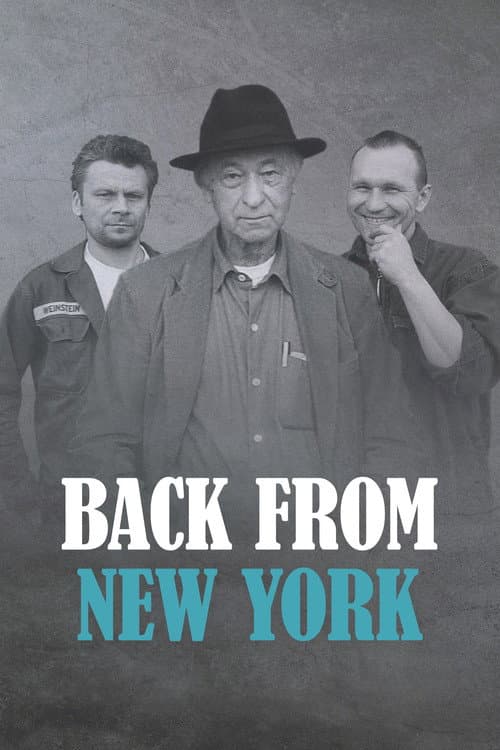Poster for Back from New York