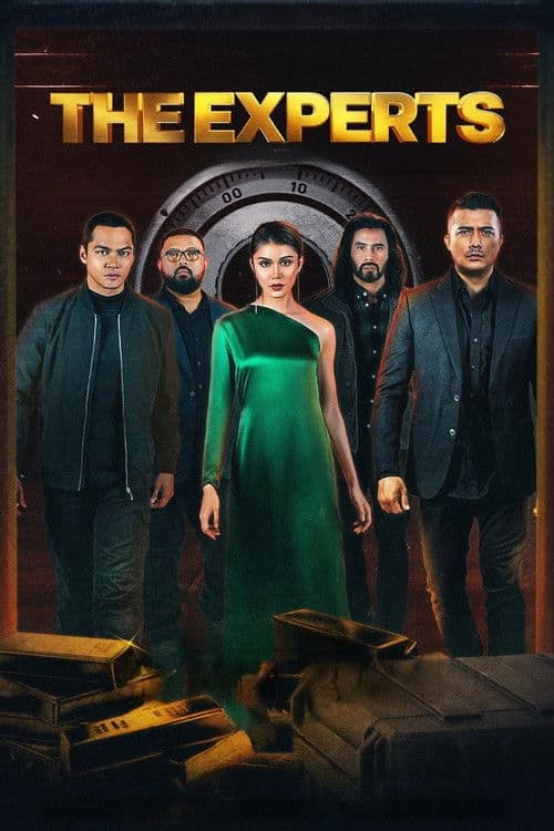 Poster for The Experts
