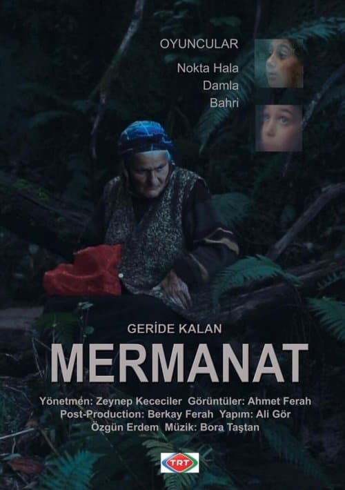 Poster for Geriye Kalan... Mermanat
