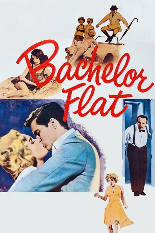 Poster for Bachelor Flat