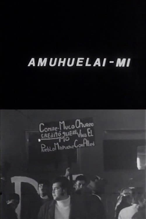 Poster for Amuhuelai-mi