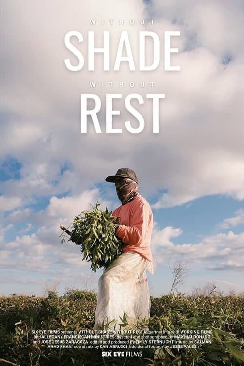 Poster for Without Shade, Without Rest