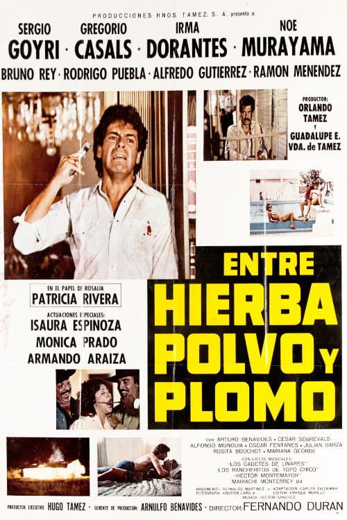 Poster for Entre Hierba, Polvo y Plomo