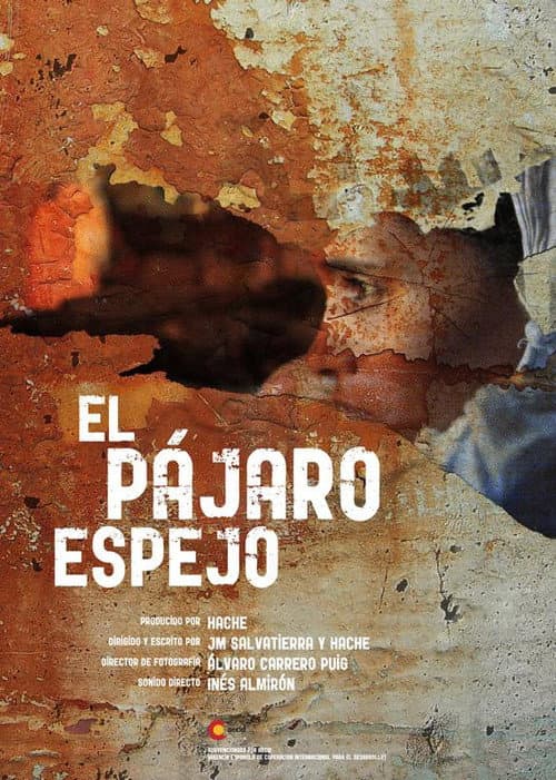 Poster for The mirror bird