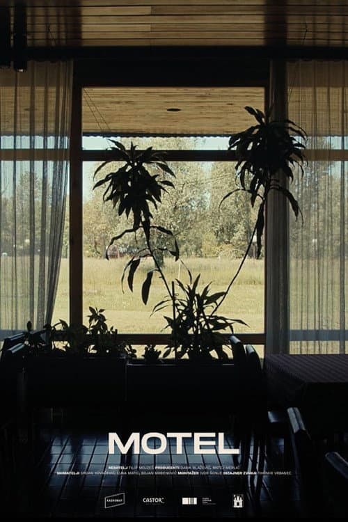 Poster for Motel