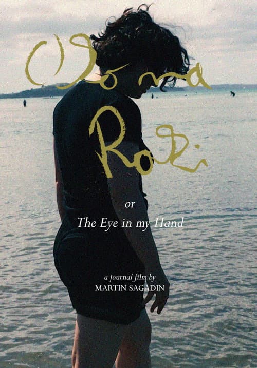 Poster for The Eye in My Hand