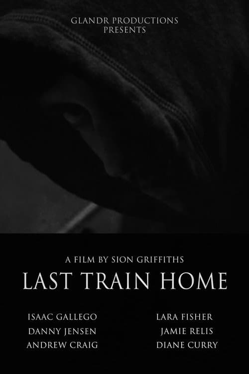 Poster for Last Train Home