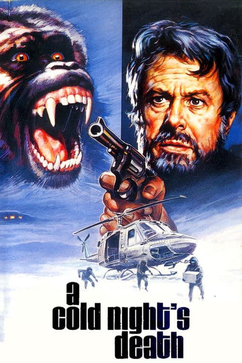 Poster for A Cold Night's Death