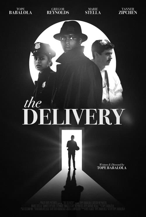 Poster for The Delivery