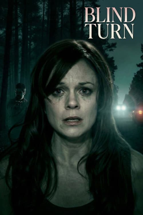 Poster for Blind Turn