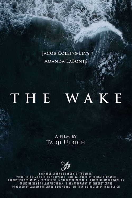 Poster for The Wake