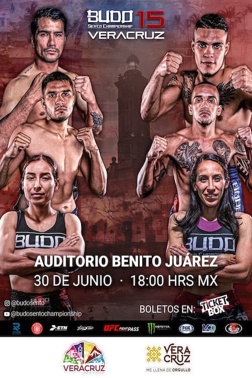 Poster for Budo Sento Championship 15
