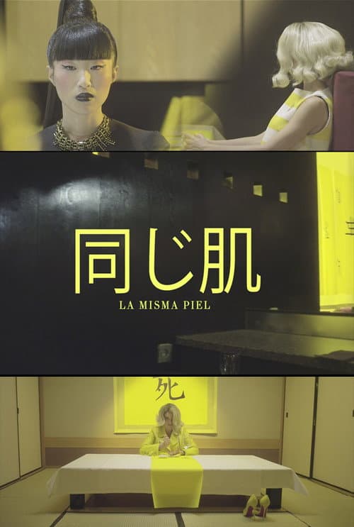 Poster for La misma piel