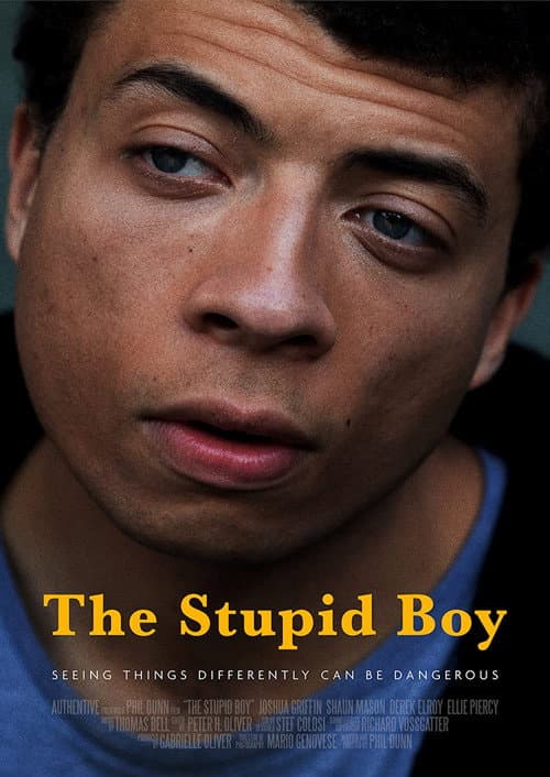 Poster for The Stupid Boy