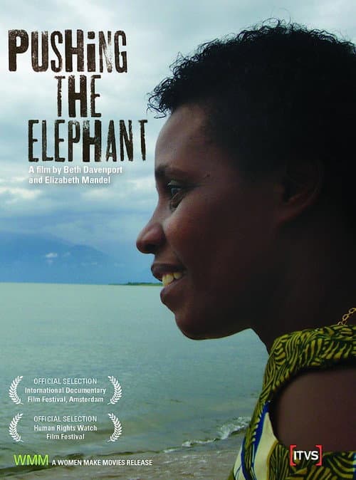 Poster for Pushing the Elephant