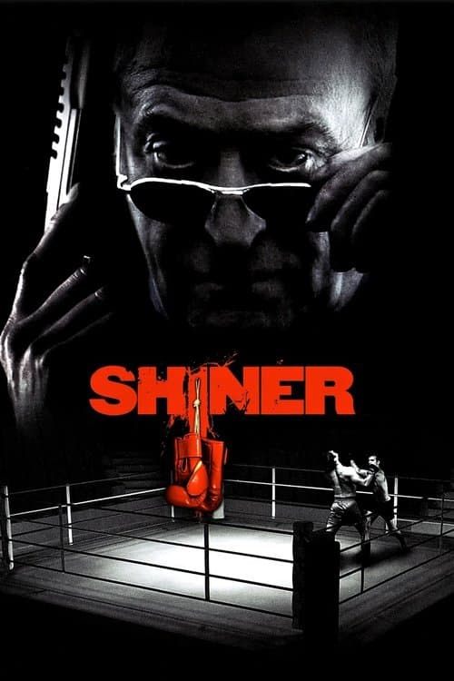 Poster for Shiner