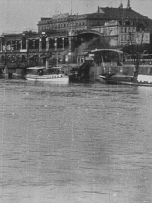 Poster for Panorama pris d'un bateau