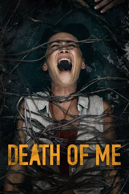 Poster for Death of Me