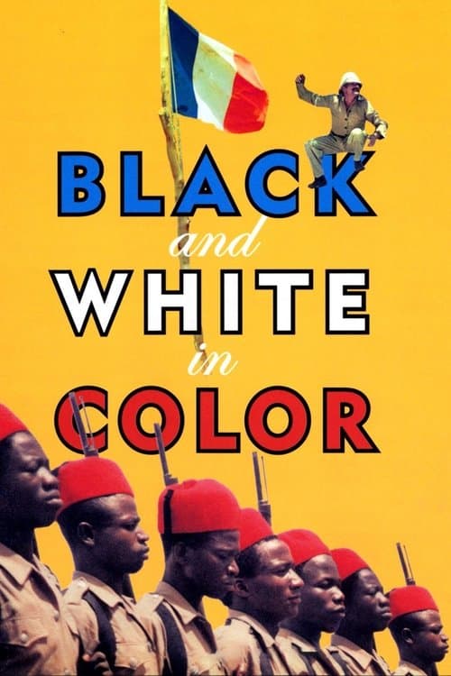 Poster for Black and White in Color