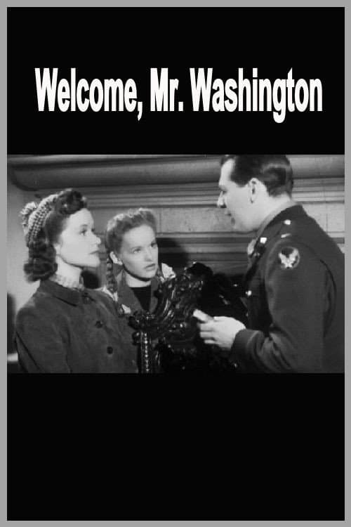 Poster for Welcome, Mr Washington