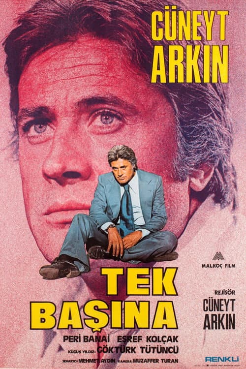 Poster for Tek Başına