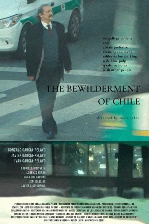 Poster for The Bewilderment of Chile