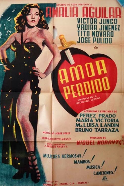 Poster for Lost Love