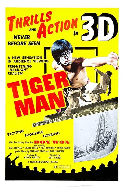 Poster for Tiger Man