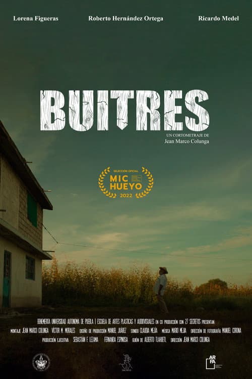 Poster for Vultures