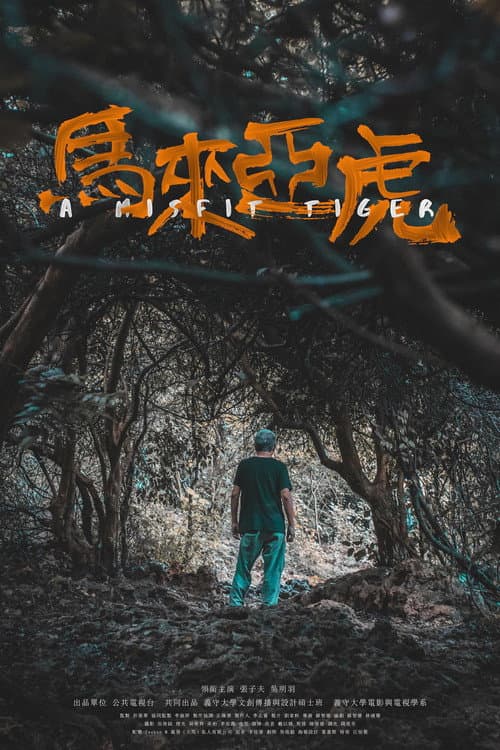 Poster for A Misfit Tiger