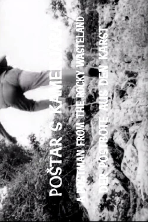 Poster for A Postman from the Rocky Wasteland
