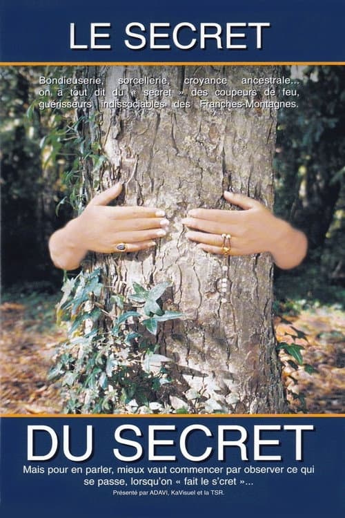 Poster for The Secret of the Secret