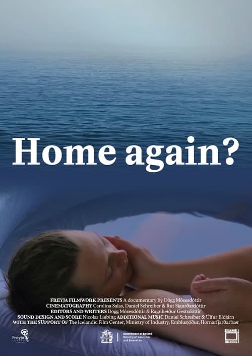 Poster for Home Again?