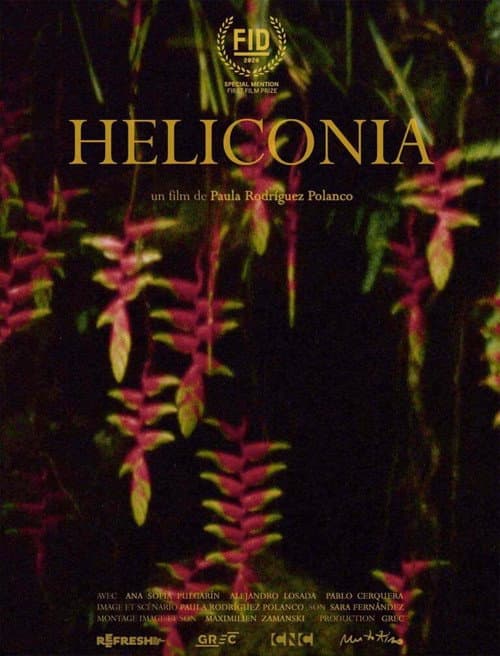 Poster for Heliconia