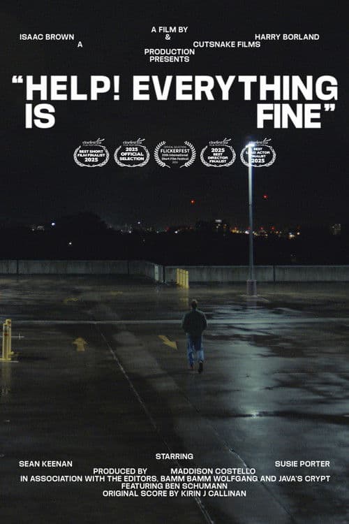 Poster for Help! Everything is Fine
