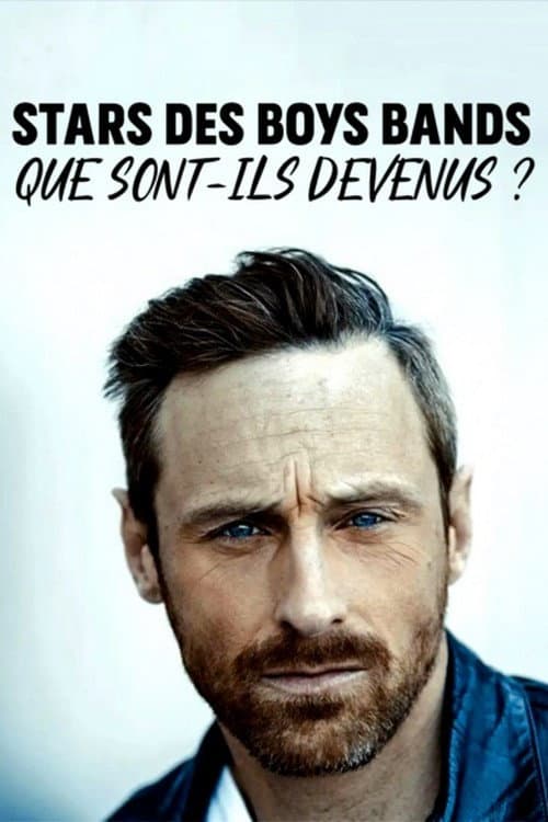 Poster for Stars des boys bands : que sont-ils devenus ?