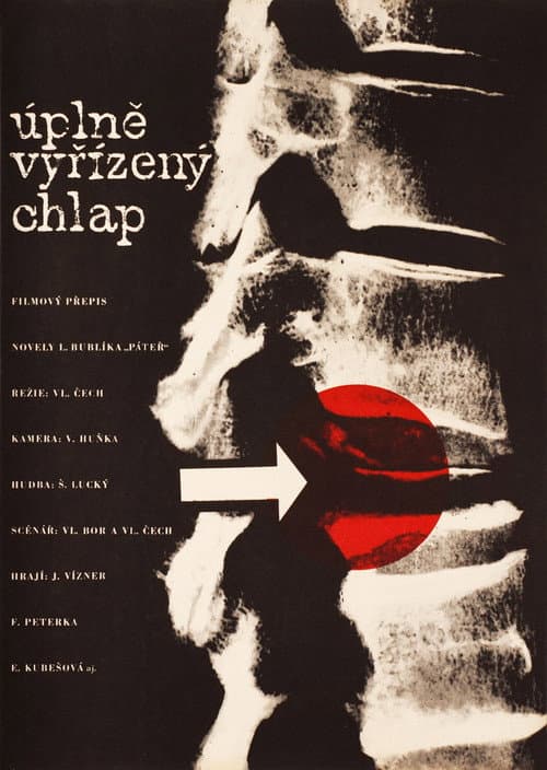 Poster for Úplně vyřízený chlap