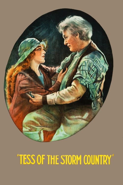 Poster for Tess of the Storm Country