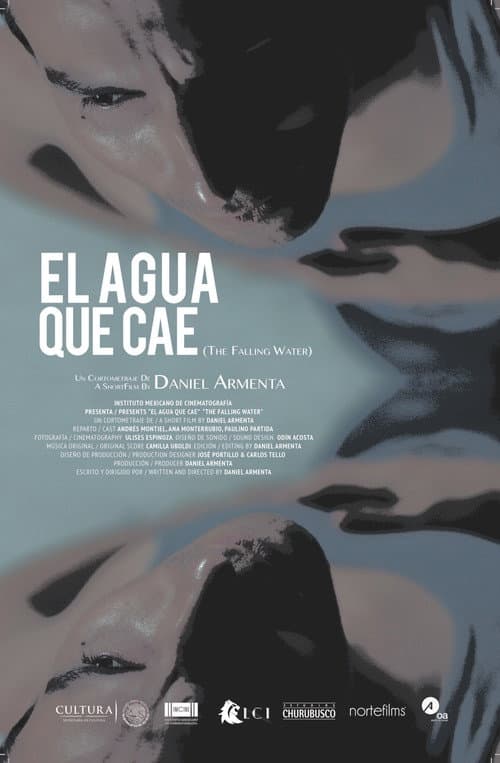Poster for The Falling Water