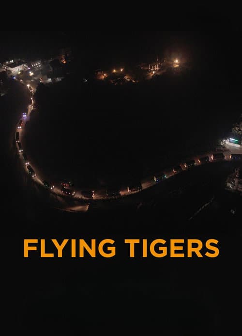 Poster for Flying Tigers
