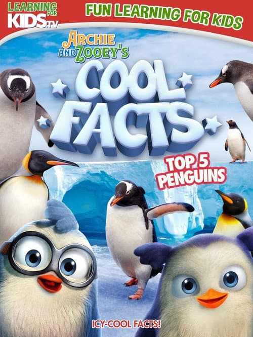 Poster for Archie And Zooey’s Cool Facts: Top 5 Penguins