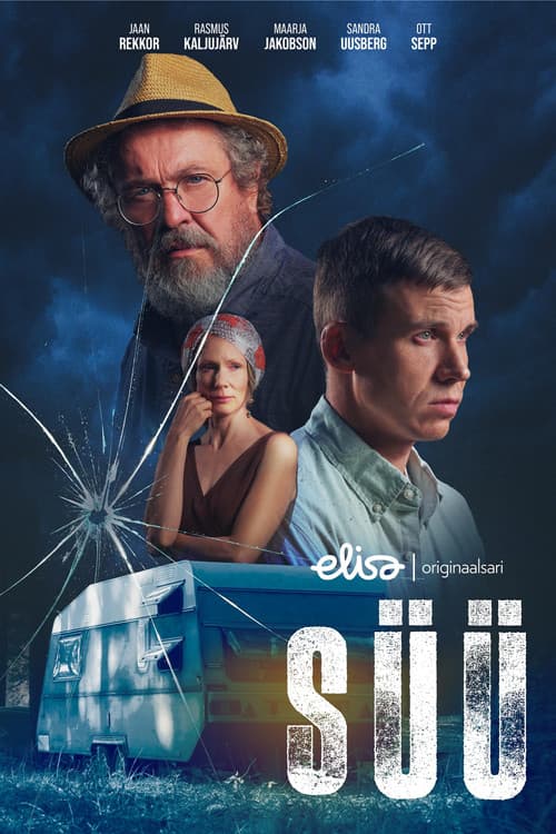 Poster for Süü