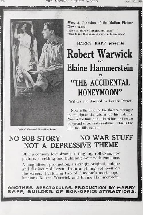 Poster for The Accidental Honeymoon