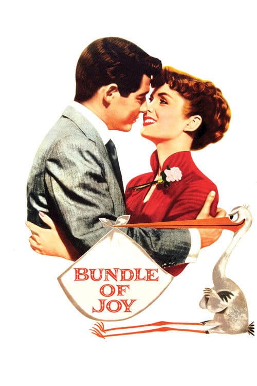 Poster for Bundle of Joy