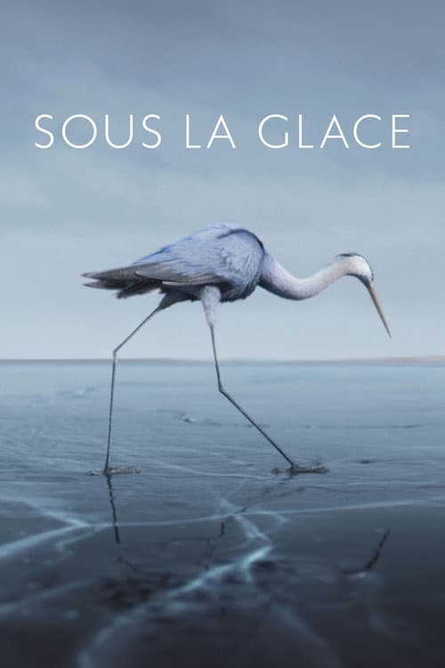 Poster for Under the Ice