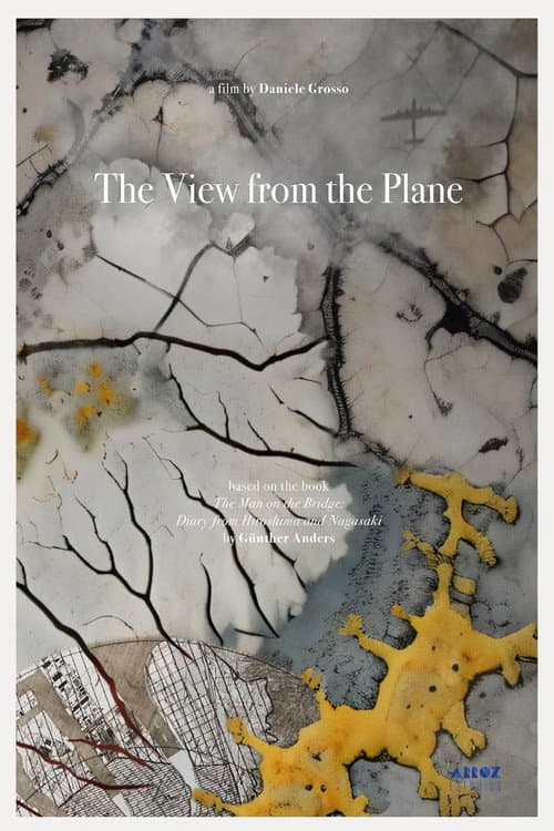 Poster for The View from the Plane